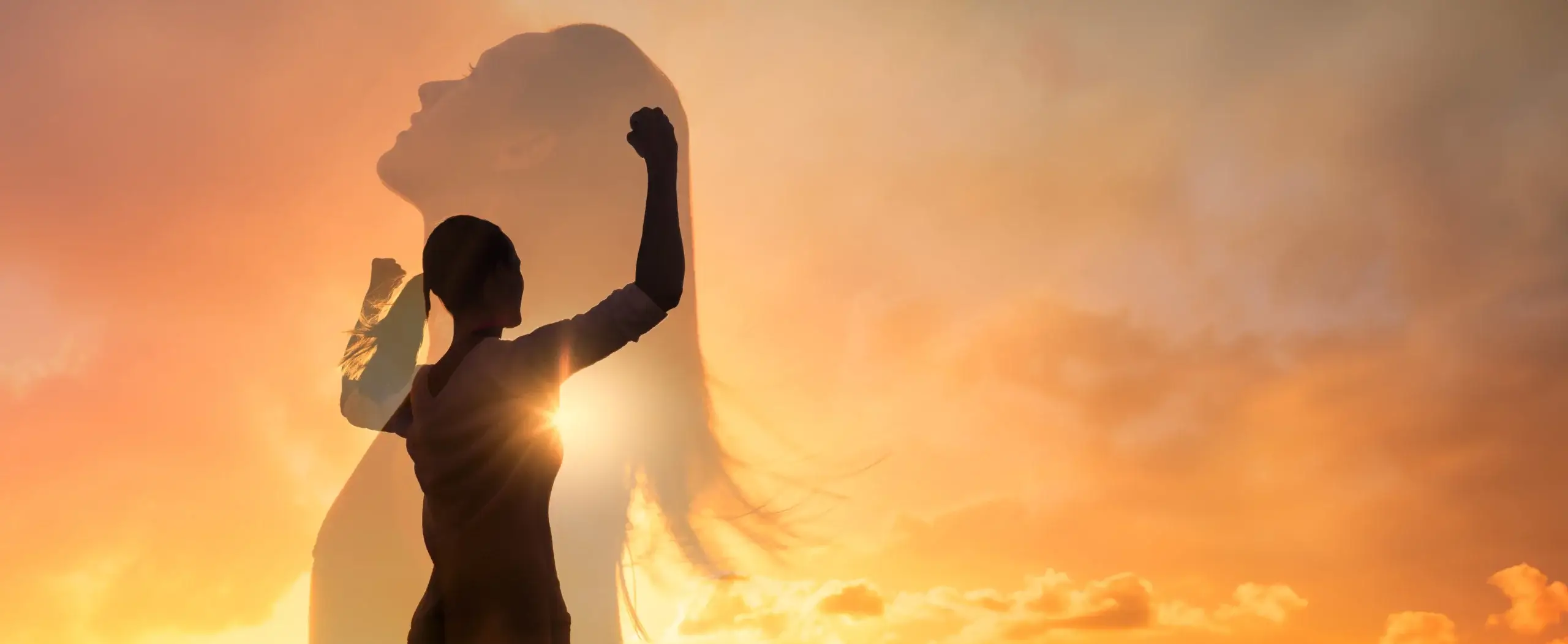 Silhouette of a woman with raised fist against dramatic orange sunset sky