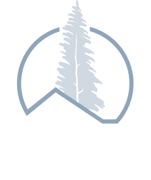 Pine Valley Integrated Services LLC Logo
